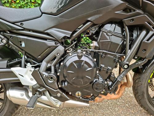 KAWASAKI Z650 (2024) foto 4