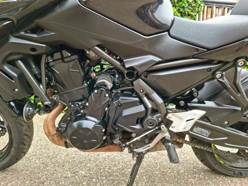 KAWASAKI Z650 (2024) foto 12